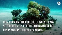 L'avenir des batteries électriques pourrait dépendre de l'exploitation minière des fonds marins