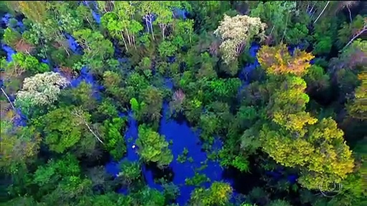 Brasil: La mayor contaminación de la atmosfera esta lejos de las ciudades es la deforestación