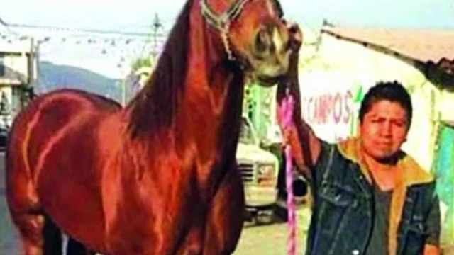 28 periodistas y activistas han sido asesinados en el gobierno de AMLO