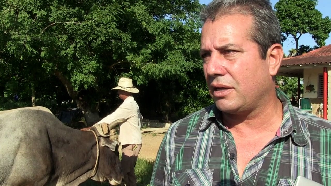 Jeitinho cubano