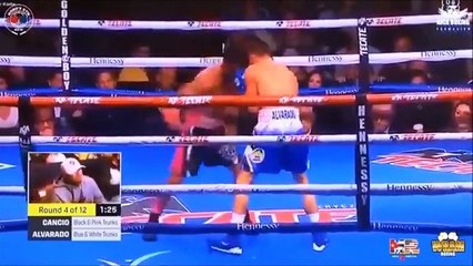 Andrew Cancio vs Rene Alvarado FULL FIGHT HIGHLIGHTS WBA Jr Lightweight Championship