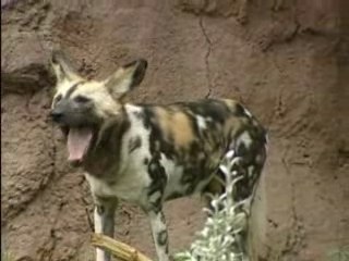 blog..www.mondotek38.skyblog.com