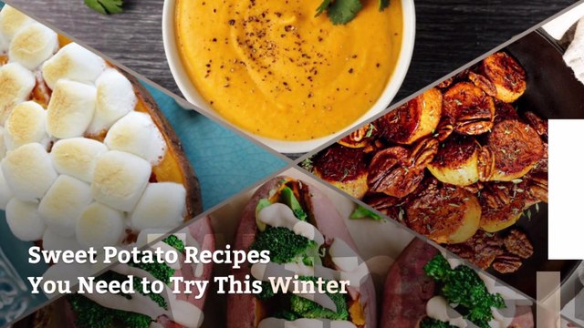 9 Sweet Potato Recipes You Need to Try This Winter