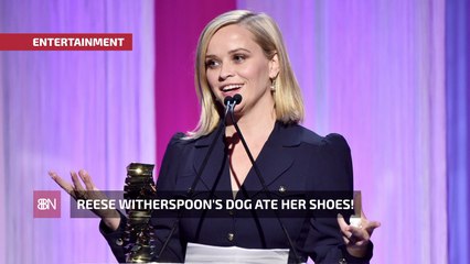 Reese Witherspoon's Dog