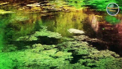 दुनिया की अनोखी झील  || Unique Lake Of The World "Pink Lake"