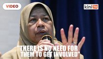 Zuraida: The 'mosquito' NGOs are irrelevant, there is no need for them to get involved