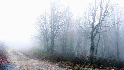 Yoğun sis etkili oluyor - KIRKLARELİ