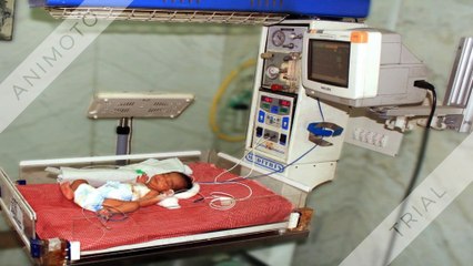 Best IVF center in MP | ICSI treatment in Indore | IVF treatment cost in Indore