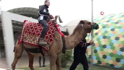 Bursa sokaklarına develer indi