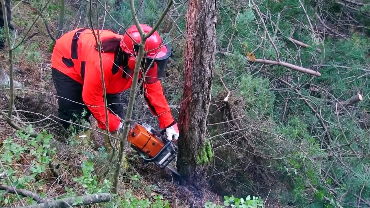 Çalıştığı ormanda Türkiye'nin ilk 'sertifikalı kadın orman üretim işçisi' oldu - SAKARYA