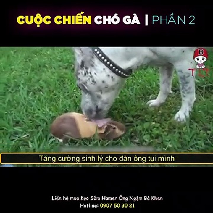 XIN cho tôi được 1 lần hết yếu LỖI tại đời hay t...