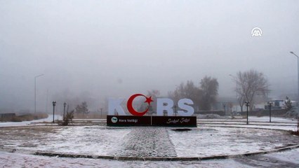 Kars'ta kar ve sis etkili oluyor
