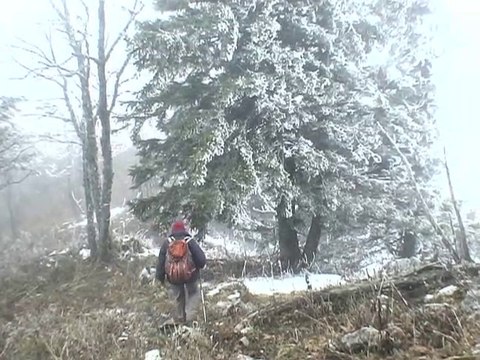 Crêtes de la Sûre et Buffe 1643 m - Vercors