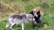 MASSIVE CANADIAN WOLVES UP CLOSE - Wolf Girl Anneka