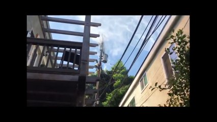 TOP balloons hit powerline compilation