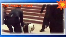 PM Modi fell down the steps of Ganga river Ghat | Modi falls down the stairs of Ganga river #modi
