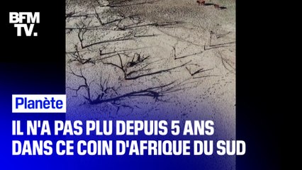 Il n’a pas plu depuis 5 ans dans ce coin d’Afrique du Sud