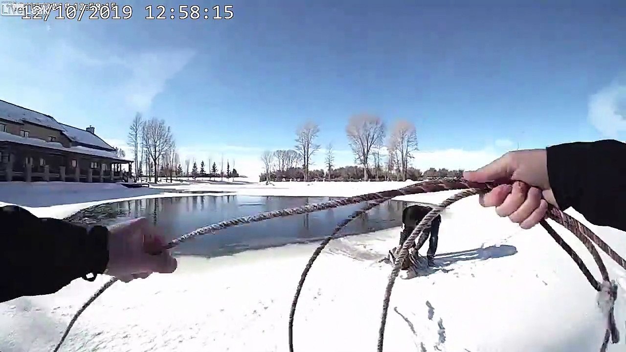 Il sauve un cerf prisonnier d'une marre gelée