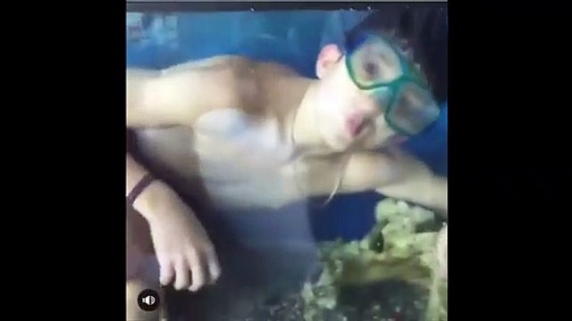 Quand tu retrouves ton gamin qui nage dans l'aquarium du salon