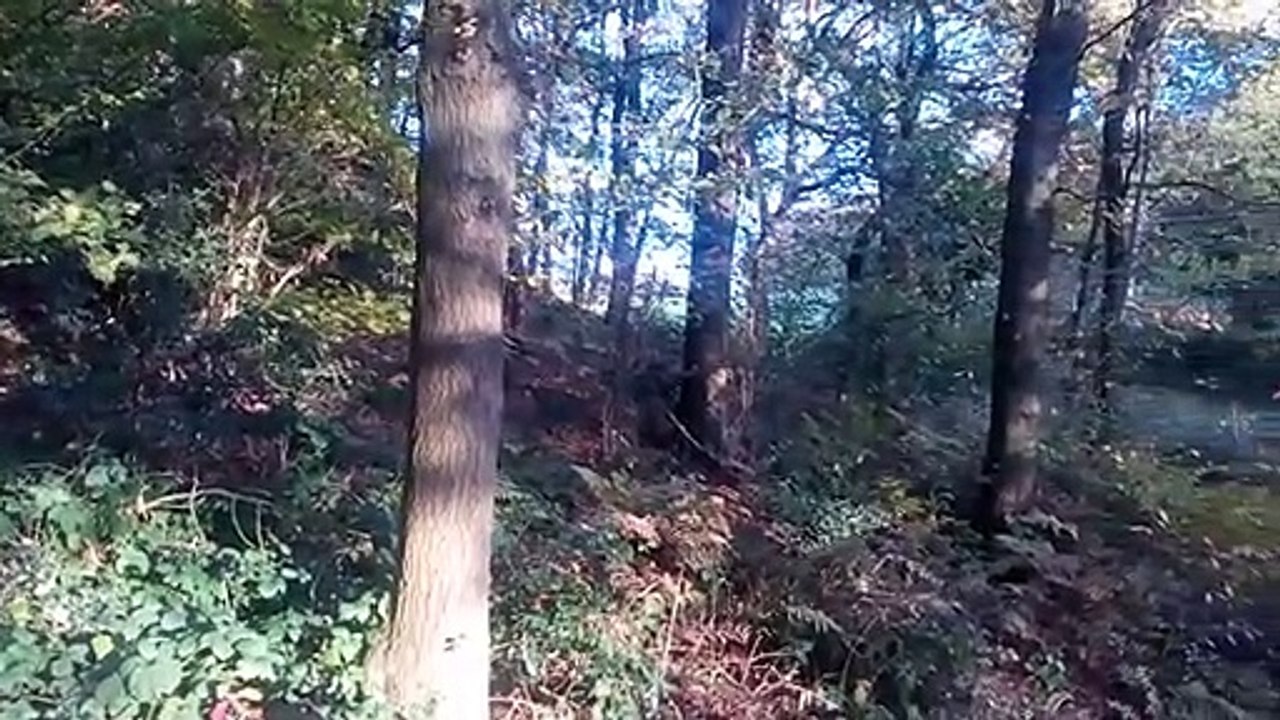 Осень, зонт и мой сон. ГЛАВА 1