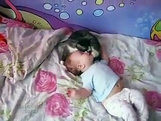 El gato que calma el llanto de esta bebé se hace viral