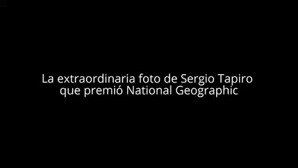 La extraordinaria foto de Sergio Tapiro que premió National Geographic