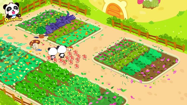 El Jardín de Abuelo Hongo | Aventura del Reino Mágico 9 | Dibujos Animados | Cartoon de Matemáticas