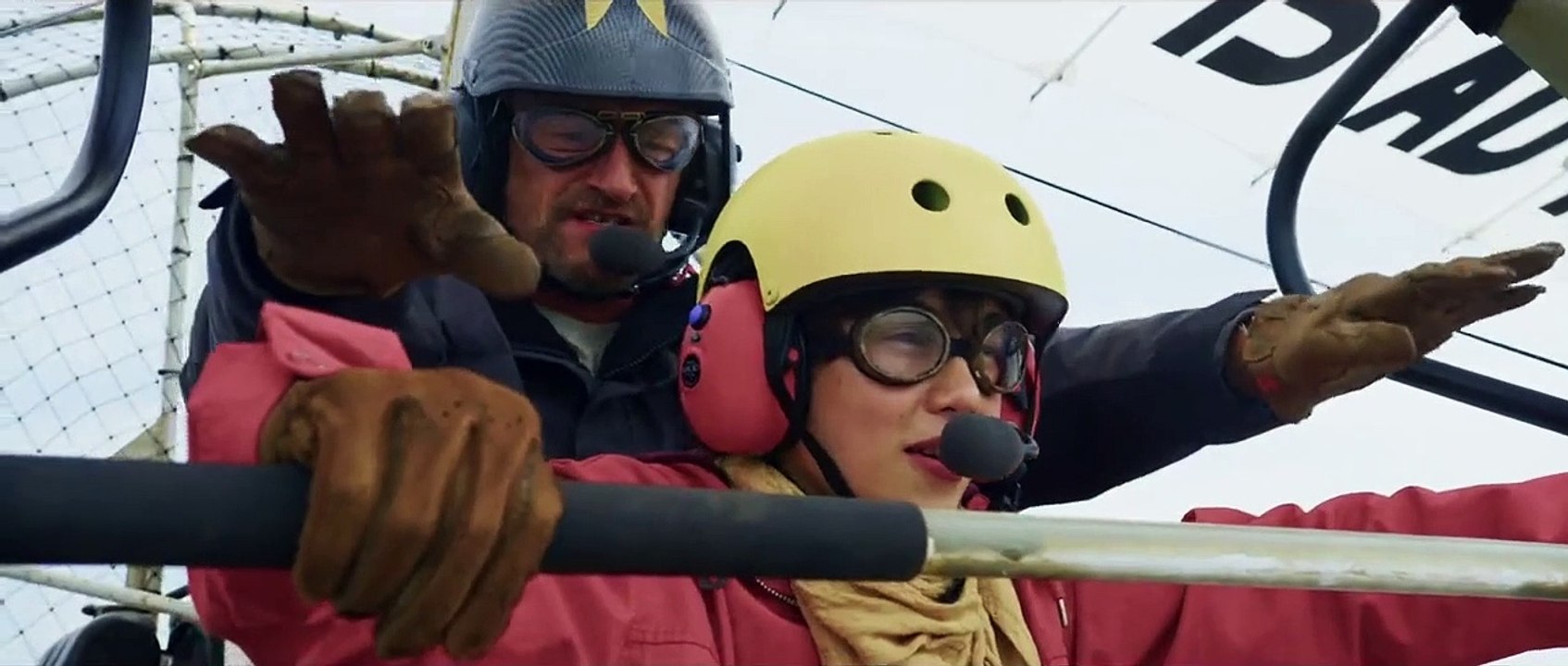 Der Junge und die Wildgänse Film