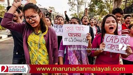 About indian citizenship bill and lebanan