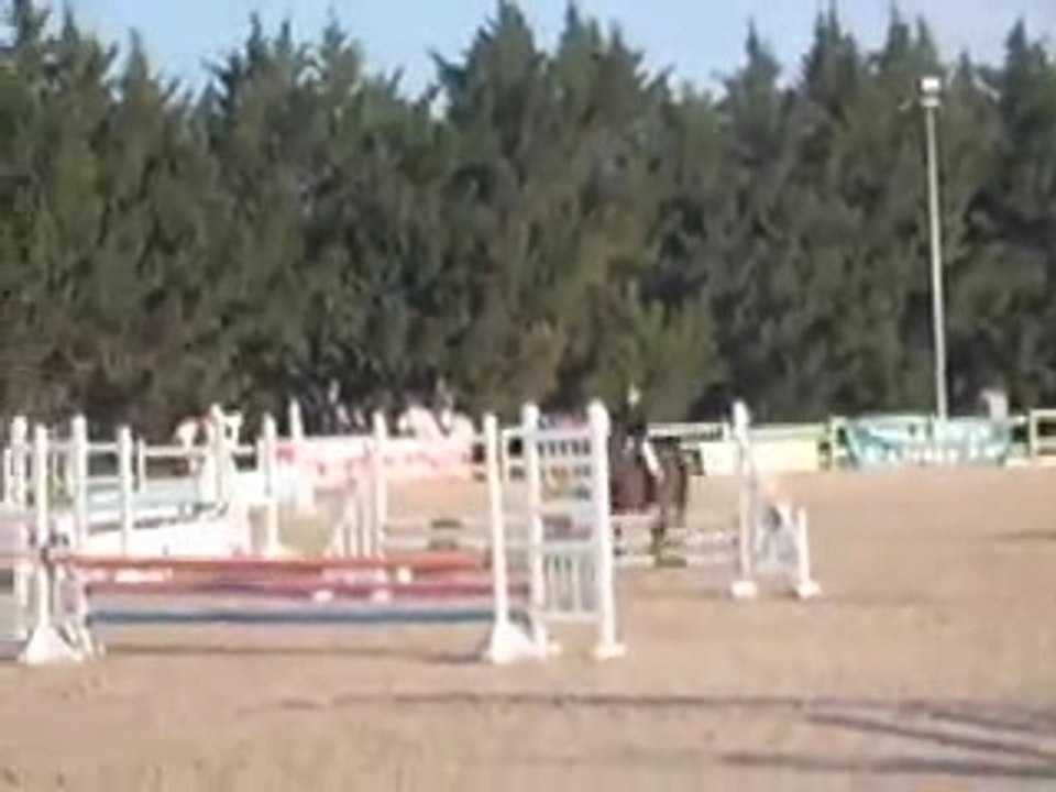 POLO VIDEO