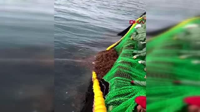 Çanakkale-ağlara takılan deniz kaplumbağasını böyle kurtardılar