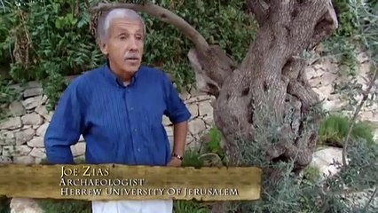 Jesus The Real Story Episode 3 The Last Days Part 5