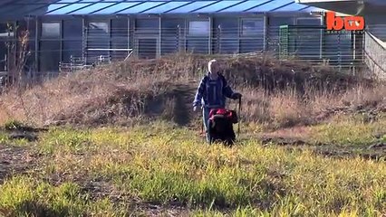 Kamp ateşi yakan maymun Kanzi
