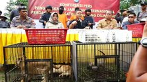 Indonesian police foil the smuggling of protected animals from abroad