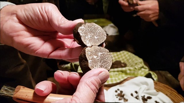 Saint-Paul-Trois-Châteaux : au cœur du premier marché aux truffes de la saison