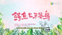 Crocodile and Plover Bird Episode 12 English Sub, Chinese Animal; Comedy; Drama; Nature; Romance;