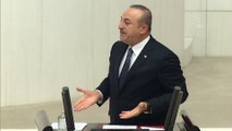 Dışişleri Bakanı Çavuşoğlu: 'NATO’ya en çok katkı sağlayan ülkelerin başında Türkiye geliyor' - TBMM