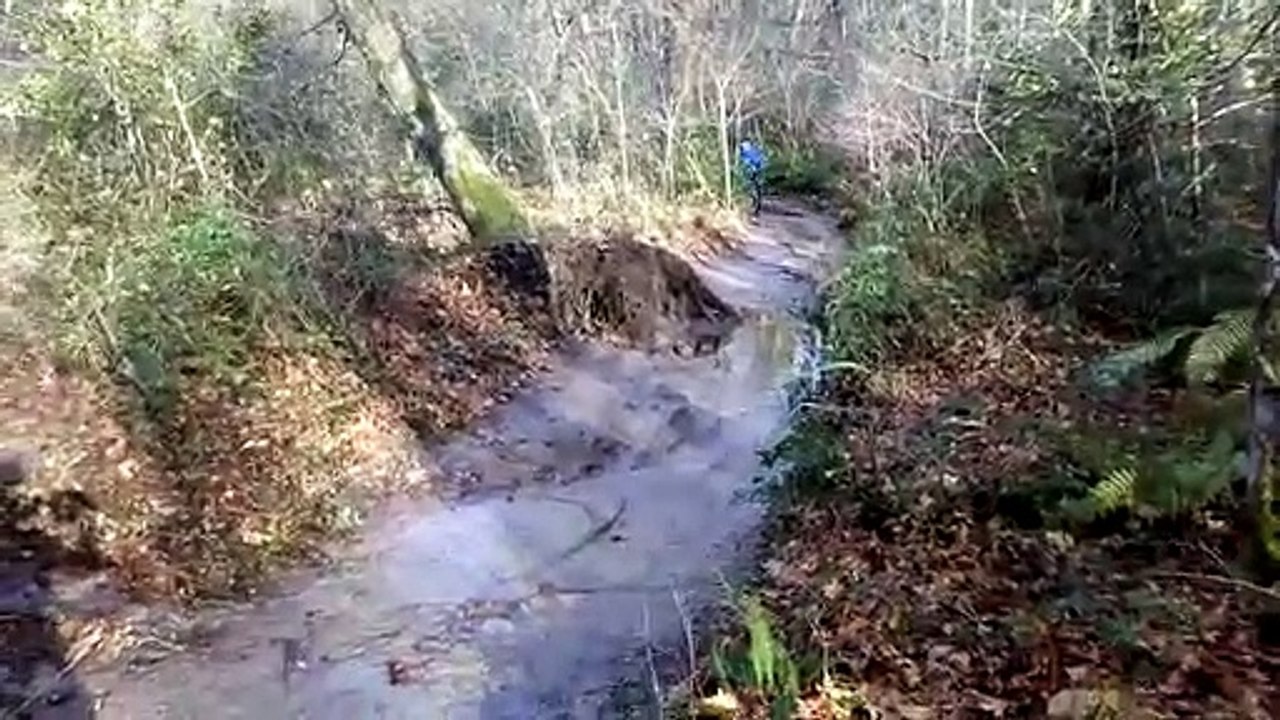 sortie du 15 dec 2019