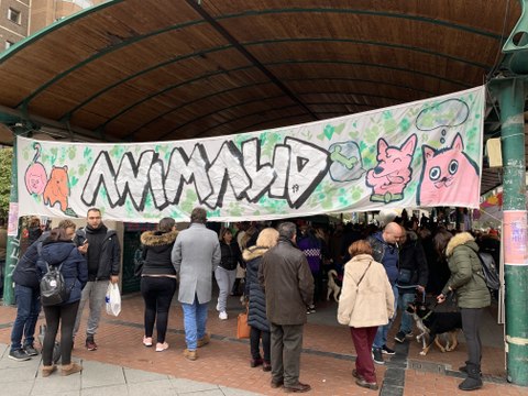 Animalid acerca a la ciudad la labor de las protectoras