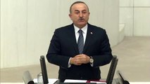 Dışişleri Bakanı Çavuşoğlu: 