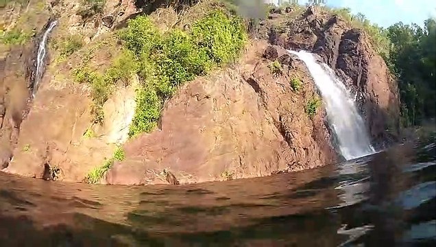 Ce touriste reçoit la visite d'un crocodile apeuré... Pas vraiment prévu