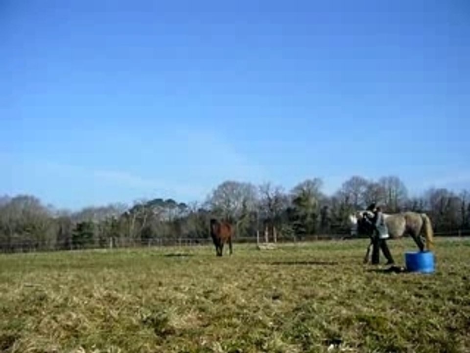 Pas esp + déb trot