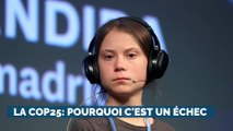 COP25: comment expliquer un tel échec?