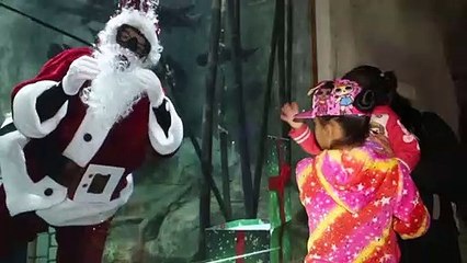 Papai Noel aquático