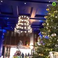 شاهد: أغلى شجرة كريسماس في عيد الميلاد في 2019