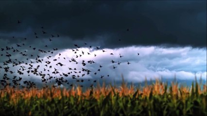 Tangerine Dream - The Journey