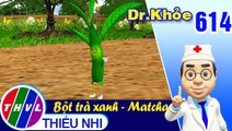 Dr. Khỏe - Tập 614: Bột trà xanh - Matcha - Phần 2