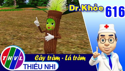 Dr. Khỏe - Tập 616: Cây tràm – Lá tràm – Phần 1
