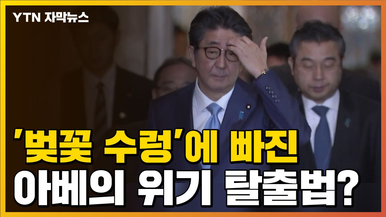 [자막뉴스] '벚꽃 수렁'에 빠진 아베 총리의 위기 탈출법? / YTN