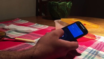 A Liberdade Guiando o Povo | Curta metragem